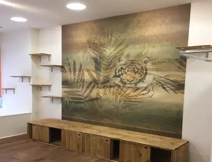 Jkl Color Plaq Travaux De Peinture Saint Helen Pose De Papier Peint 1